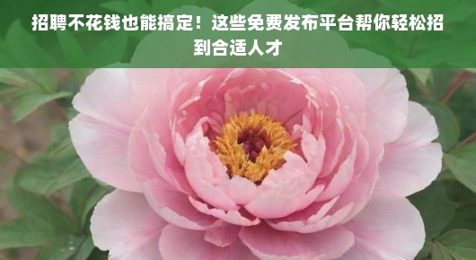 招聘不花钱也能搞定！这些免费发布平台帮你轻松招到合适人才