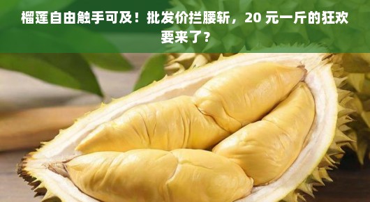榴莲自由触手可及！批发价拦腰斩，20 元一斤的狂欢要来了？